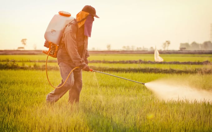 chemicals-used-in-agriculture-111430_551.jpg Việc sử dụng thuốc trừ sâu trong nông nghiệp toàn cầu nhằm đạt được năng suất cây trồng tối đa đang gây hại sức khỏe nông dân và tác động xấu đến môi trường. Ảnh: Greentumble