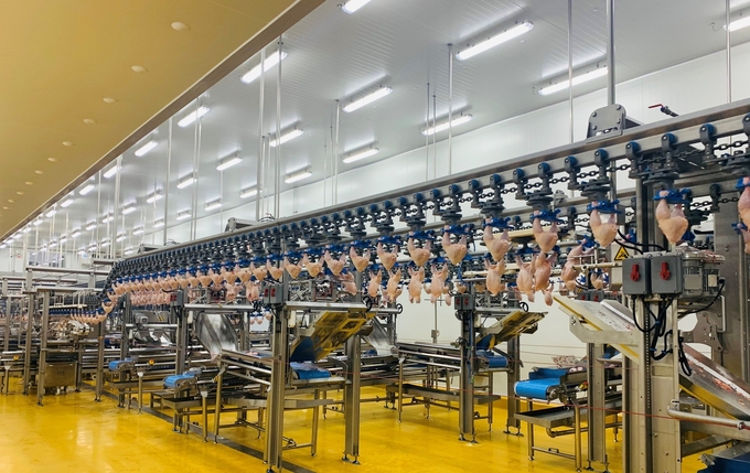 Bên trong khu chế biến sản phẩm thịt gà xuất khẩu của CPV Food.