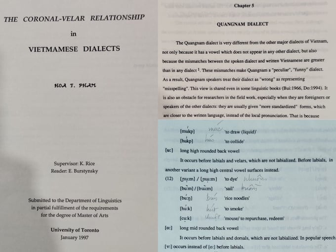 Trích luận văn thạc sĩ 'The coronal-velar relationship in Vietnamese dialects' của Andrea Hoa Pham.