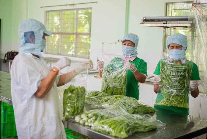 HTX Nông nghiệp Phước Hiệp (huyện Tuy Phước, Bình Định) đóng gói RAT để bán ra thị trường. Ảnh: T.D.