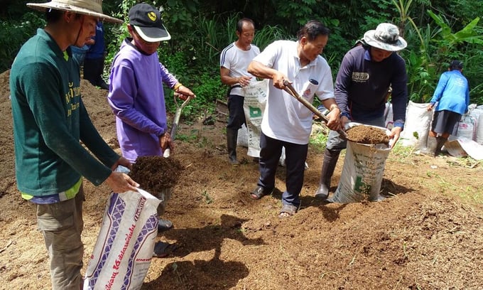 8q6wv3uylq__wwf_thailand_1-094053_267.jpg Tính minh bạch của thị trường phân bón là rất quan trọng vì nó tăng cường khả năng tiếp cận loại vật tư đầu vào thiết yếu này đối với nông dân.
