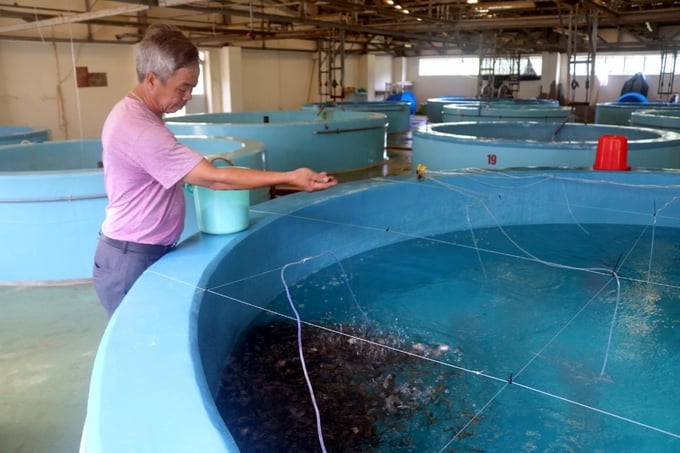 nuoi-bien-19-205322_222.jpg Trung tâm Nghiên cứu và Phát triển nuôi biển Nha Trang đã làm chủ công nghệ sản xuất nhiều giống thủy sản phục vụ nuôi biển. Ảnh: KS.