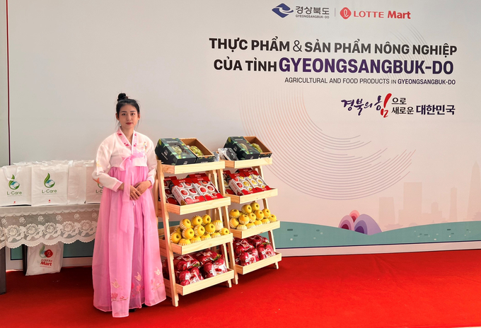 b-124549_73.jpg Một số loại trái cây cao cấp của tỉnh Gyeongsangbuk-do. Ảnh: Sơn Trang.