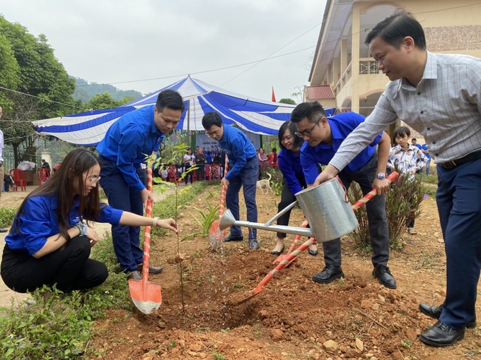 27acea9525cbe395bada-1-153939_957.jpg Hoạt động trồng cây góp phần thay đổi bộ mặt cảnh quan nông thôn