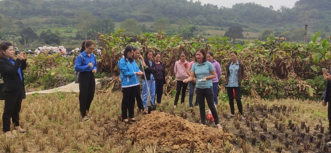 doan-thanh-nien-bo-nn-ptnt-ho-tro-sinh-ke-cho-gia-dinh-thanh-nien-kho-khan-163113_142.jpg Buổi tập huấn hướng dẫn ứng dụng kĩ thuật trong trồng trọt của Đoàn thanh niên tổ chức tạo ra sự đổi mới trong sản xuất, ứng dụng tiến bộ kĩ thuật trong trổng trọt giúp cải thiện năng suất, chất lượng các giống cây trồng.
