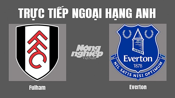 truc-tiep-bong-da-fulham-vs-everton-29-10-152412_874.jpg Trực tiếp bóng đá Ngoại hạng Anh giữa Fulham vs Everton hôm nay 29/10/2022