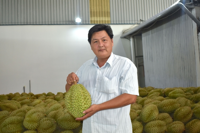 Để xuất khẩu sầu riêng chính ngạch sang Trung Quốc cần xây dựng mã số vùng trồng, mã số nhà đóng gói. Ảnh: Minh Đảm.