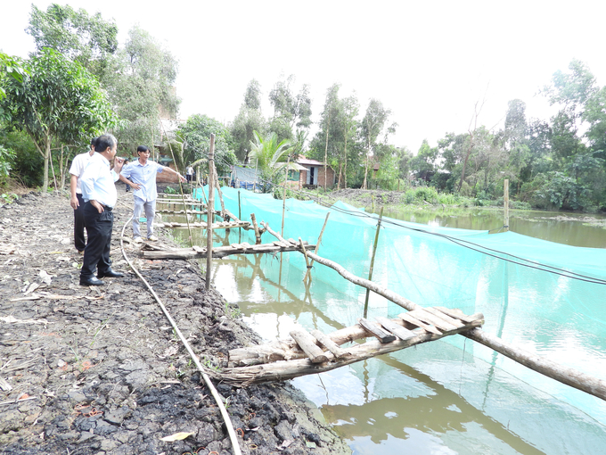 dscn5985-102637_879.jpg Từ mô hình của anh Hồng, nhiều thành viên trong HTX Tràm Cát cũng chuẩn bị bắt tay làm theo để nâng cao thu nhập. Ảnh: Trần Trung.