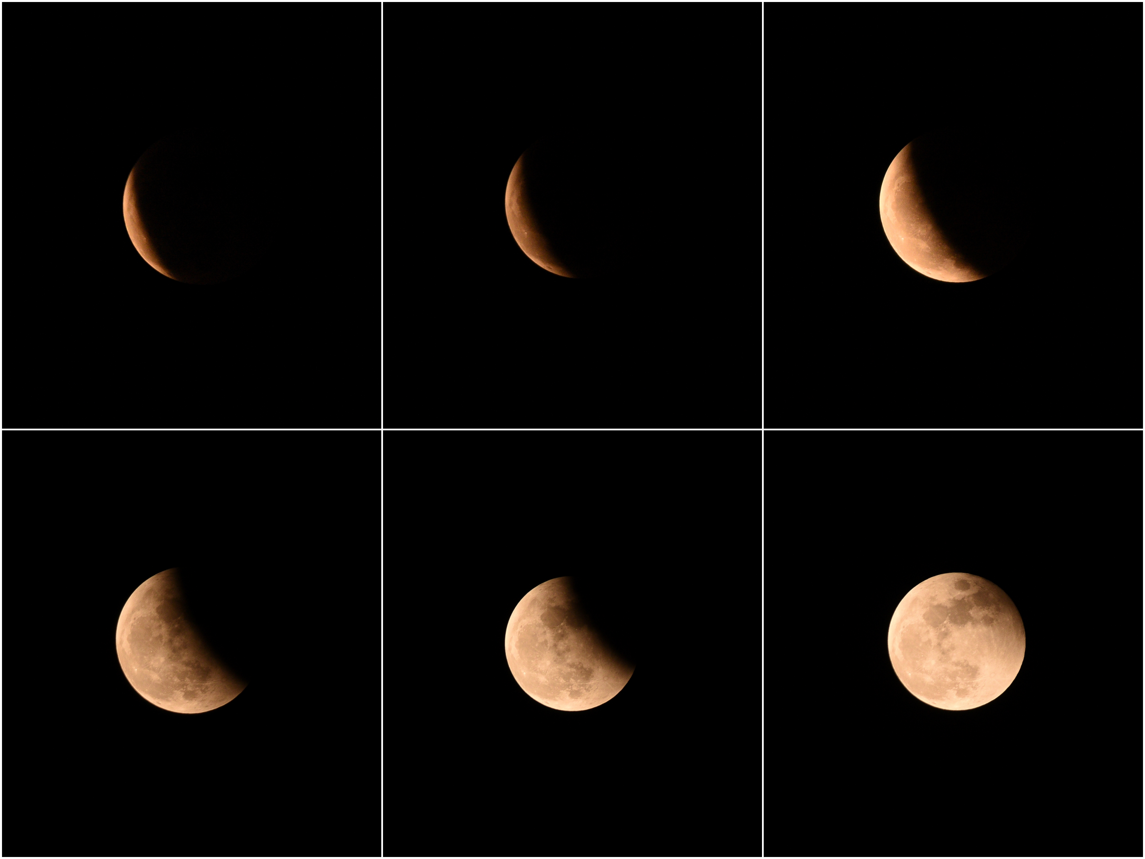 collage-211153_993.jpg