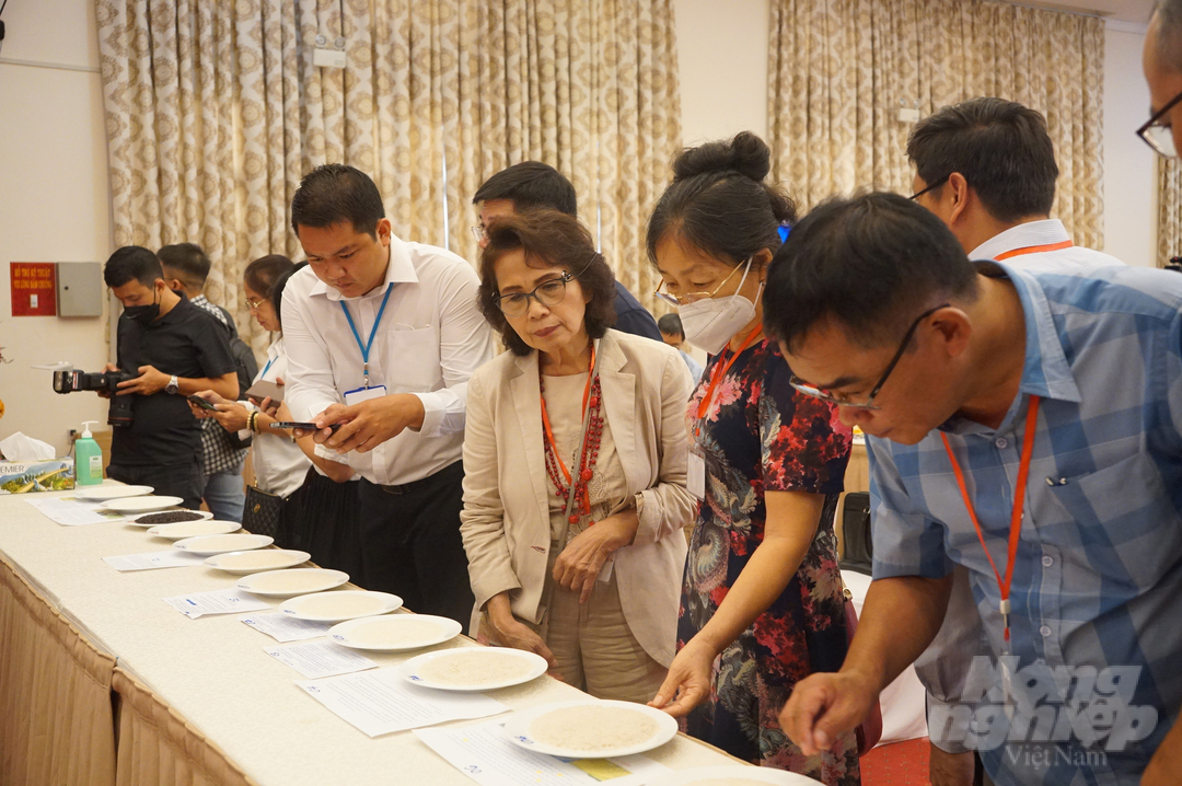 cuoc-thi-gao-ngon-viet-nam-2022-dien-ra-hoan-toan-minh-bach-153612_377.jpg Mẫu giống gạo dự thi trước khi đem đi nấu. Ảnh: Nguyễn Thủy.