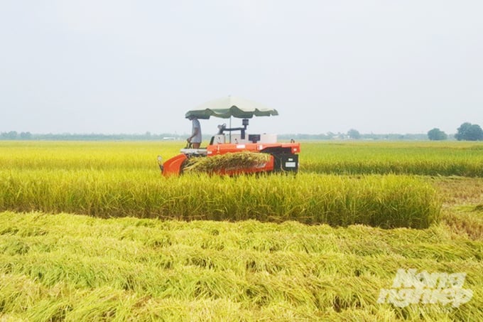 vu-he-thu-o-dong-bang-song-cuu-long-da-kem-hieu-qua-tu-lau-112410_772.jpeg Thu hoạch lúa ở Đồng bằng sông Cửu Long. Ảnh: Sơn Trang.
