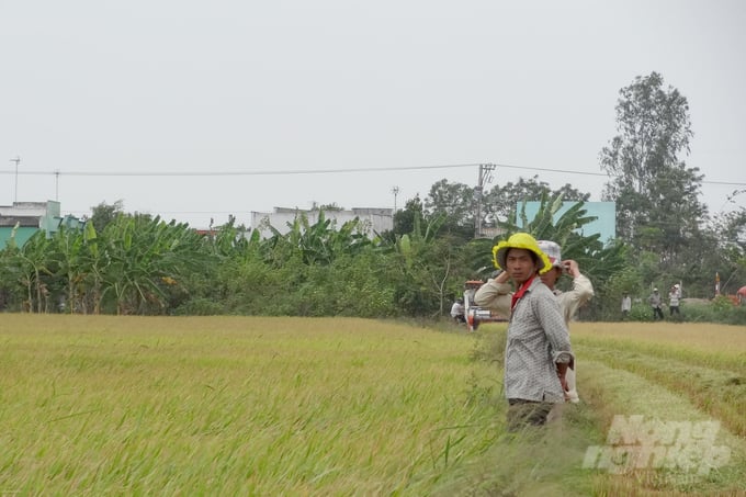 dsc01978-113023_188.jpg Sản xuất lúa chiếm tới 50% phát thải khí nhà kính trong ngành nông nghiệp. Ảnh: Sơn Trang.