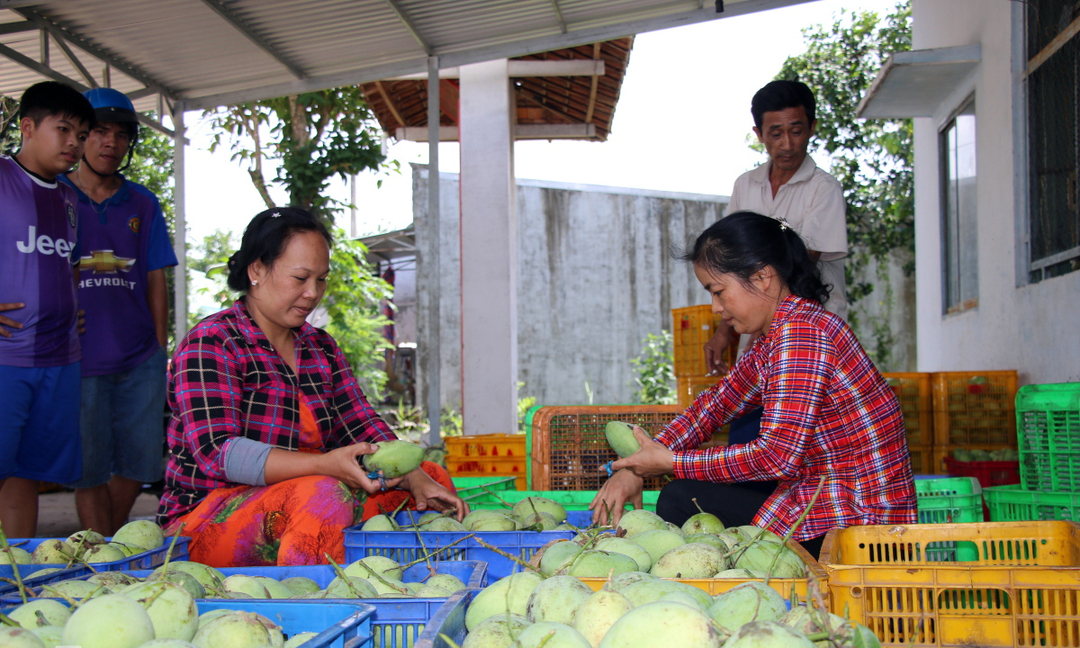a-100926_345.jpg Bà Hương cho rằng, những nông sản nhiệt đới của Việt Nam có lợi thế cạnh tranh tại Trung Quốc.