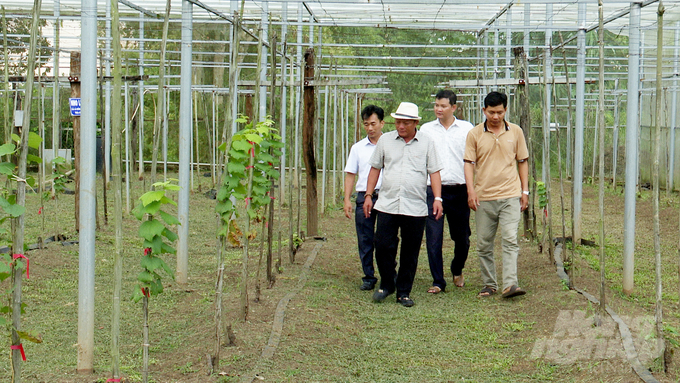 Đồng Nai đang là điểm đến của nhiều nhà đầu tư trong lĩnh vực sản xuất, kinh doanh và chế biến sản phẩm nông sản. Ảnh: Minh Sáng.
