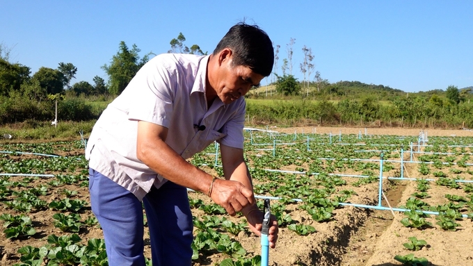 'My wish in the near future will be to further cooperate with Vietnamese businesses to produce rice on a larger scale,' Southat Keoduangsy said.