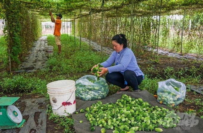 Mỗi sản phẩm đều có một quy trình riêng và đầu tư các loại dây chuyền máy móc phù hợp nhằm giảm công lao động. Ảnh: Trần Trung.