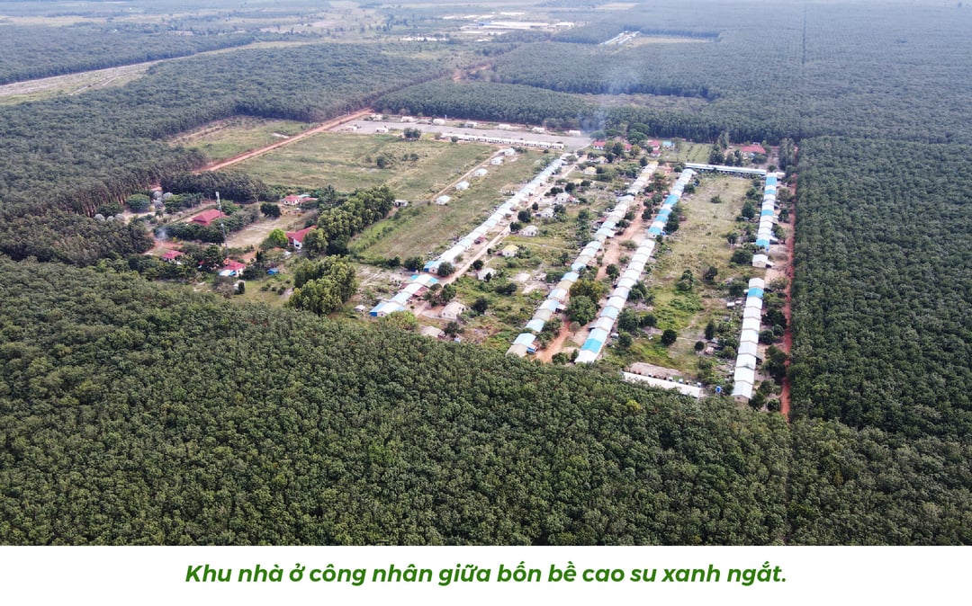 anh1-01-122639_418.jpg