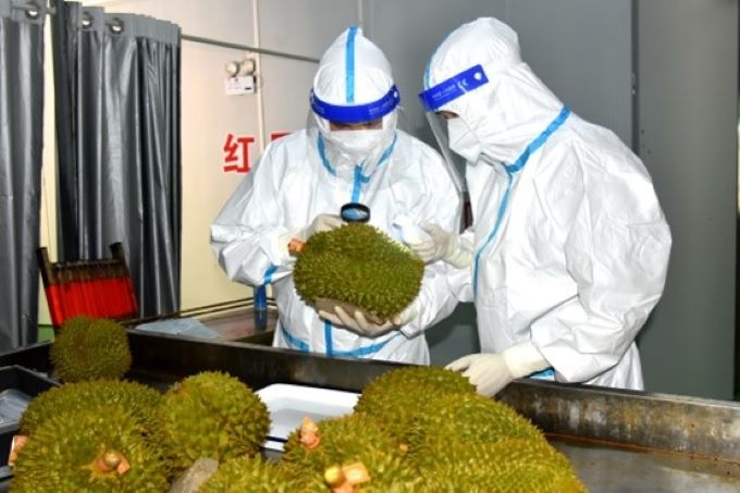 There requires testing for pesticide residues in fruits in Vietnam to ensure that exported agro-products conform to Chinese standards.