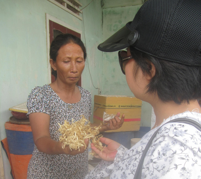 Farmers dry seaweed to sell to traders who come to collect and buy. Photo: V.D.T. 