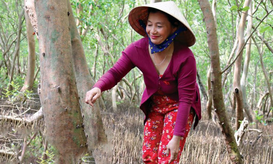 nuoi-duoi-tan-rung-ngap-man-113137_150.jpg Người dân bắt ốc len tại huyện Cù Lao Dung, tỉnh Sóc Trăng.