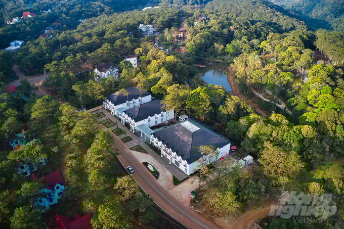 Golden Boutique Hotel với không gian xanh mướt mắt. Ảnh: Mộc Miên.
