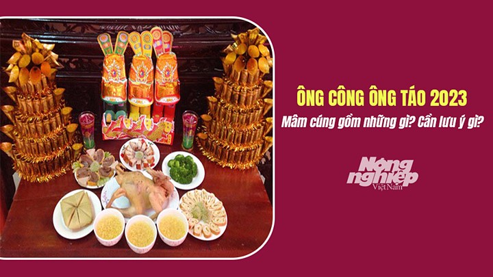 mam-cung-ngay-ong-cong-ong-tao-2023-gom-nhung-gi-can-luu-y-gi-222439_954.jpg Lễ vật và mâm cúng ông Công ông Táo 2023 gồm những gì? Cần lưu ý gì?