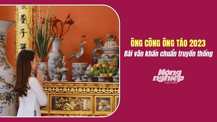 van-khan-cung-ong-cong-ong-tao-2023-chuan-truyen-thong-nhat-224258_787.jpg Một số bài văn khấn cúng ông Công ông Táo 2023 chuẩn nhất