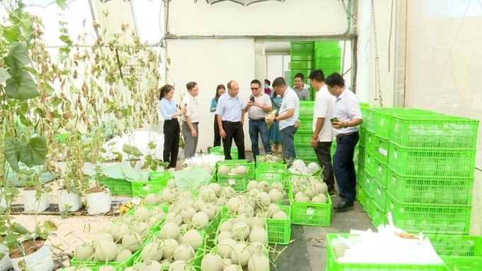 z3930075700098_4f5ead03785f762fc9dde357365f7a01-070946_428.jpg Đồng Nai tiếp tục thu hút các doanh nghiệp đầu tư vào lĩnh vực nông nghiệp. Đặc biệt là đầu tư các dự án chuỗi liên kết gắn sản xuất, chế biến, tiêu thụ sản phẩm để nâng cao năng lực cạnh tranh sản phẩm nông nghiệp tại các địa phương có nhiều tiềm năng. Ảnh: MS.