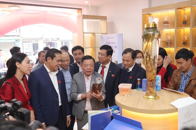 vkc5-125138_367.jpg Hoạt động quảng bá sản phẩm sâm Ngọc Linh tại Hà Tĩnh. Ảnh: Hoàng Anh.