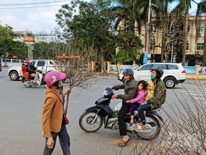 6-2-153407_694.jpg Một số gia đình đã kịp sắm cho mình cành đào để chơi Tết.