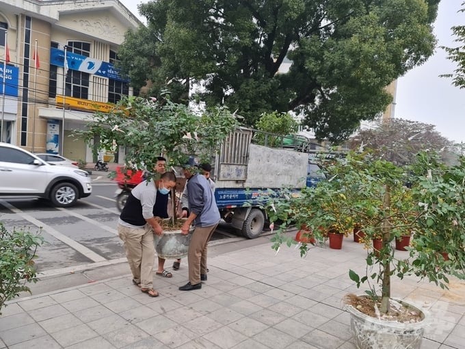 8-1-153229_825.jpg Thời điểm này, nhiều tuyến đường phố ở thành phố Tuyên Quang đã rộn ràng cảnh mua bán hoa cây cảnh phục vụ Tết Nguyên đán.
