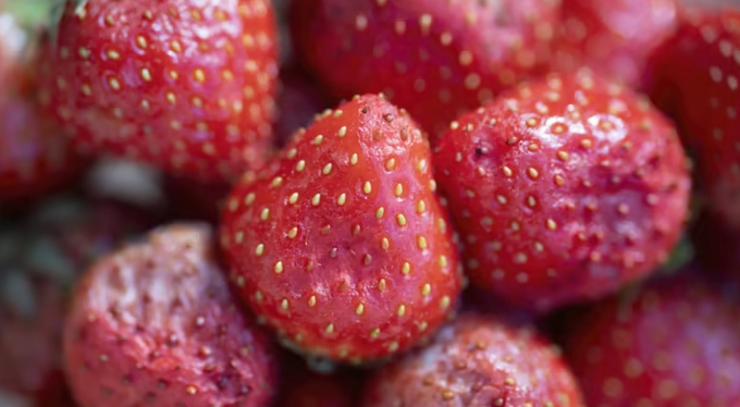 Bruised strawberries that are starting to grow mould. Photo: iStock