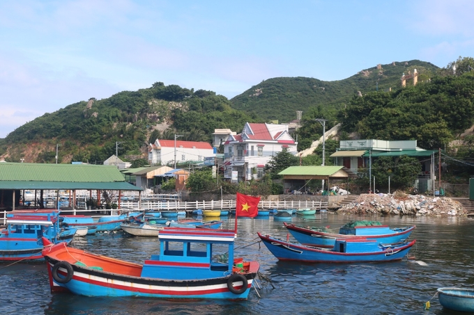 dao-binh-ba-6-102555_895.jpg Trước đây, Bình Ba từng đón khách du lịch nên có nhiều bè nhà hàng nổi. Ảnh: KS.
