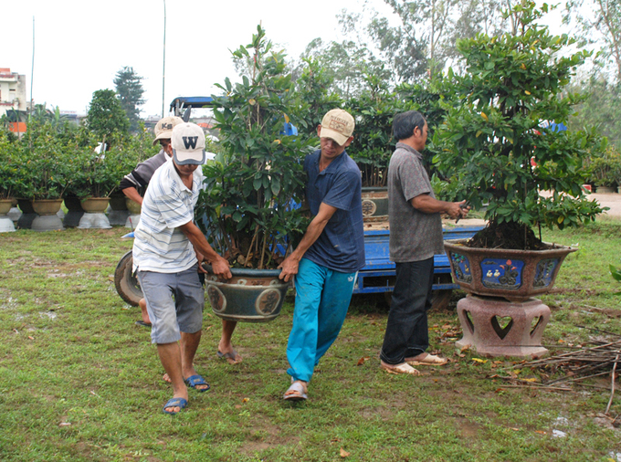 Năm nay, sức mua mai của các thị trường miền Nam và miền Bắc rất mạnh. Ảnh: V.Đ.T.