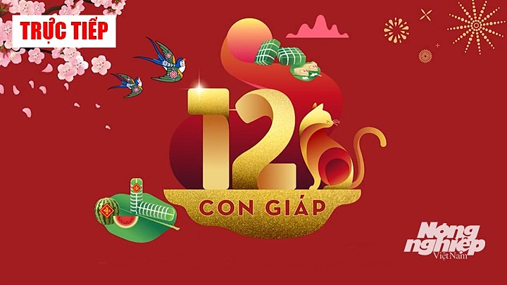 truc-tiep-12-con-giap-tren-vtv3-191859_739.jpg Link xem trực tiếp 12 con giáp trên VTV3 vào ngày Mùng 2 Tết Quý Mão 2023