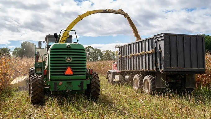 Mexico's proposed ban on genetically modified corn will 'affect farmers all over the United States,' Hinkel Farms' Elizabeth Hinkel said on 'Mornings with Maria' Tuesday, January 31, 2023. Photo: Getty Images