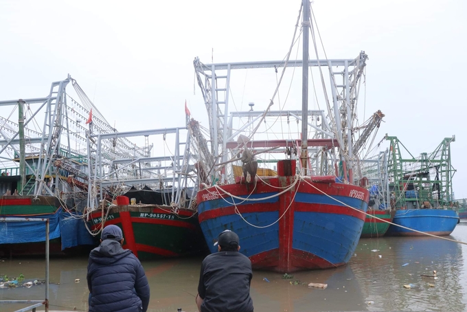 cang-ca-1-163725_893.jpg Người dân lo lắng khi tàu 'đắp chiếu' nhiều tháng nay. Ảnh: Đinh Mười.