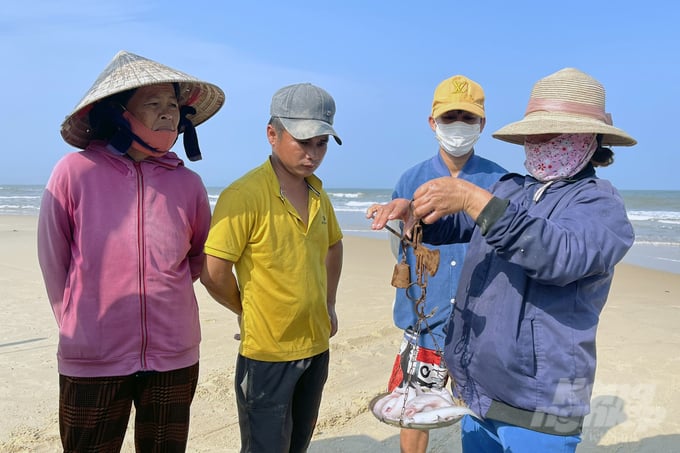 Những người không đi biển cũng tranh thủ ra mua cá khoai về sử dụng. Ảnh: VD.