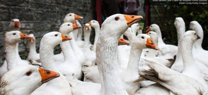 Most farmers don't have an Amazon Prime contract. Photo: Matt Cardy