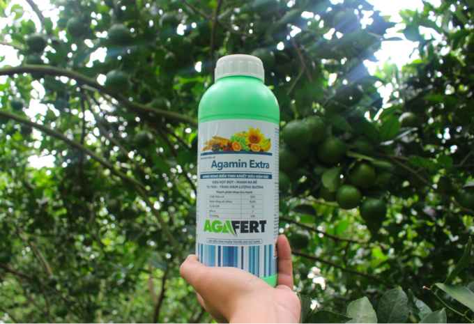 anh-chup-man-hinh-2023-02-20-luc-100628-100702_693.jpeg Sản phẩm đã có mặt tại vườn cam xoàn và quýt đường của anh Văn Tác - Đồng Tháp. Ảnh: Trung Hiệp Lợi.