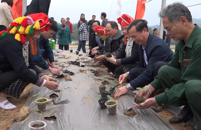 xay-dung-nong-thon-moi-thiet-thuc-nang-cao-doi-song-cho-nguoi-dan-141658_545.jpg Việc phát triển những vùng trồng chuyên canh giúp nâng cao thu nhập cho dân huyện Bảo Thắng (Lào Cai). Ảnh: H.Đ