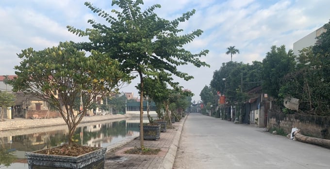 1-085656_659.jpg Một góc xã Tân Dân chuẩn NTM kiểu mẫu.