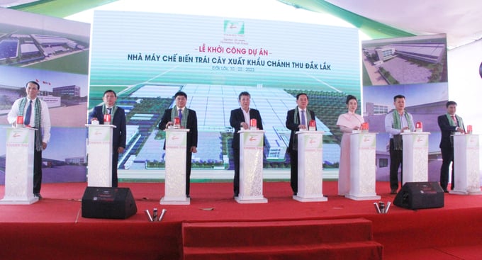 z4170940763717_88d7265648948de505272e0b4786cd64-135348_669.jpg Nhà máy Chế biến trái cây xuất khẩu Chánh Thu Đắk Lắk có công suất 70 ngàn tấn nguyên liệu/năm, vốn đầu tư 476 tỷ đồng và dự kiến thi công trong thời gian 18 tháng. Ảnh: M.P.