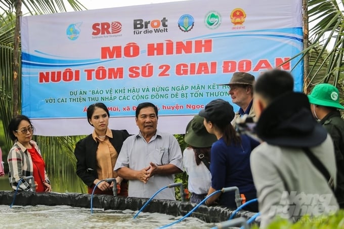 Mô hình nuôi tôm 2 giai đoạn nằm trong dự án. Ảnh: Trọng Linh.