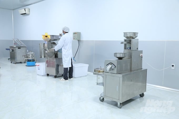 Một góc bên trong khu chế biến dế đông lạnh. Ảnh: Trần Trung.