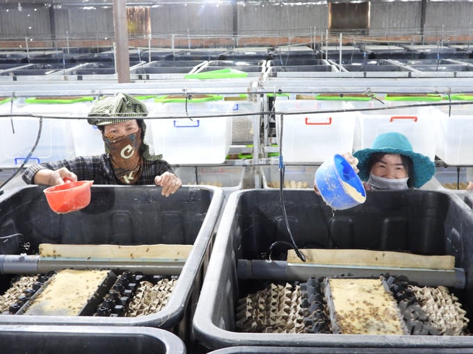 Thức ăn chuyên dụng cho dế được anh Nam đặt hàng các viện - trường nghiên cứu giúp dế phát triển tốt, rút ngắn thời gian chăn nuôi. Ảnh: Minh Sáng.