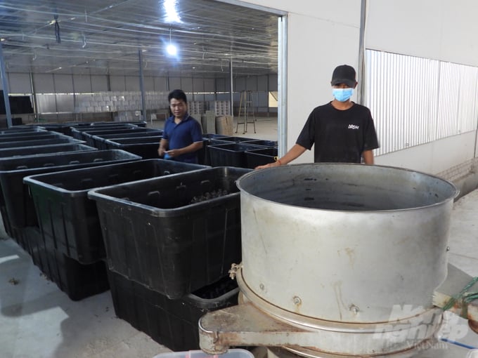 Trang thiết bị sàng lọc dế sau thu hoạch. Ảnh: Minh Sáng.