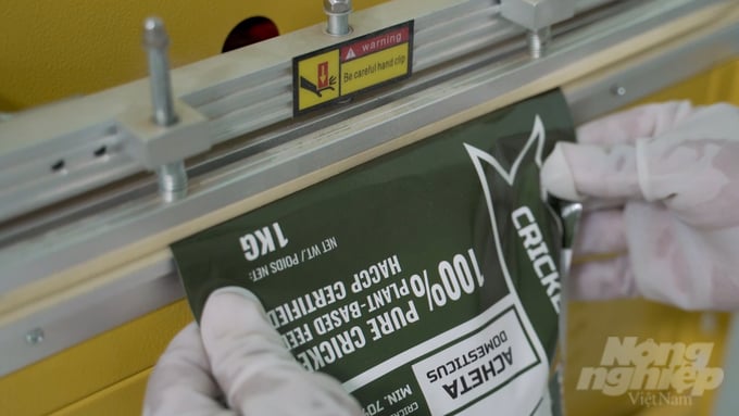Sản phẩm bột dế Protein chuẩn bị ra lò. Ảnh: Trần Trung.