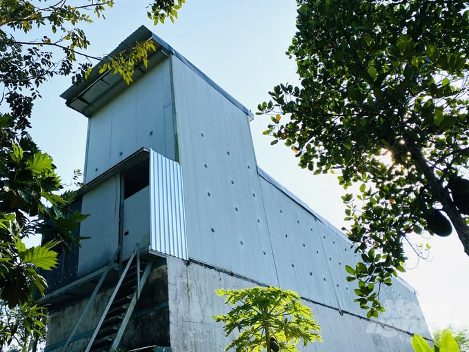 anh-1-101110_792.jpg Xây dựng mô hình nhà nuôi yến ở An Giang. Ảnh: Lê Hoàng Vũ.