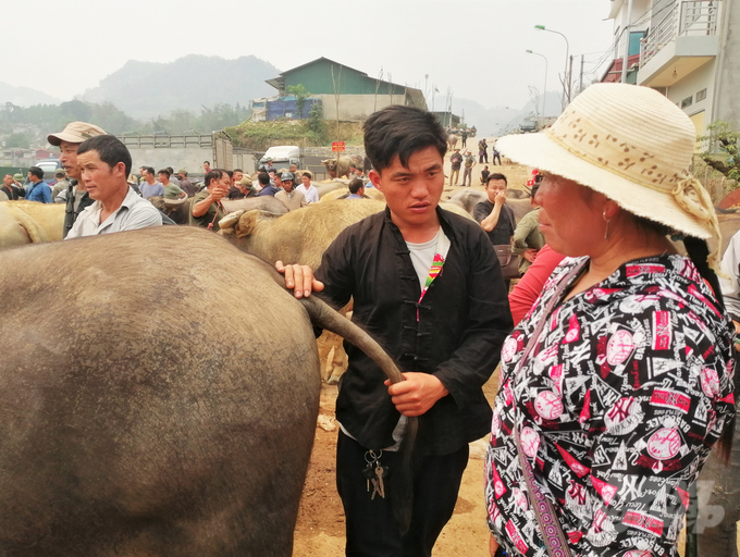 kham-pha-cho-trau-lon-nhat-tay-bac-004952_312.jpg Theo nhiều người dân sống xung quanh chợ, trước đây, chợ trâu Bắc Hà thường diễn ra vào ngày chủ nhật hàng tuần. Tuy nhiên, do trùng với thời gian diễn ra các chợ phiên khác như gà, chó (khuyển), chim... nên lượng người đổ về đông đúc, quá tải. Do vậy, trong những năm gần đây, chợ trâu được chuyển sang tổ chức vào ngày thứ 7 hàng tuần.